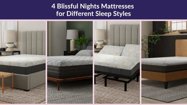 Top 4 Blissful Nights Mattresses