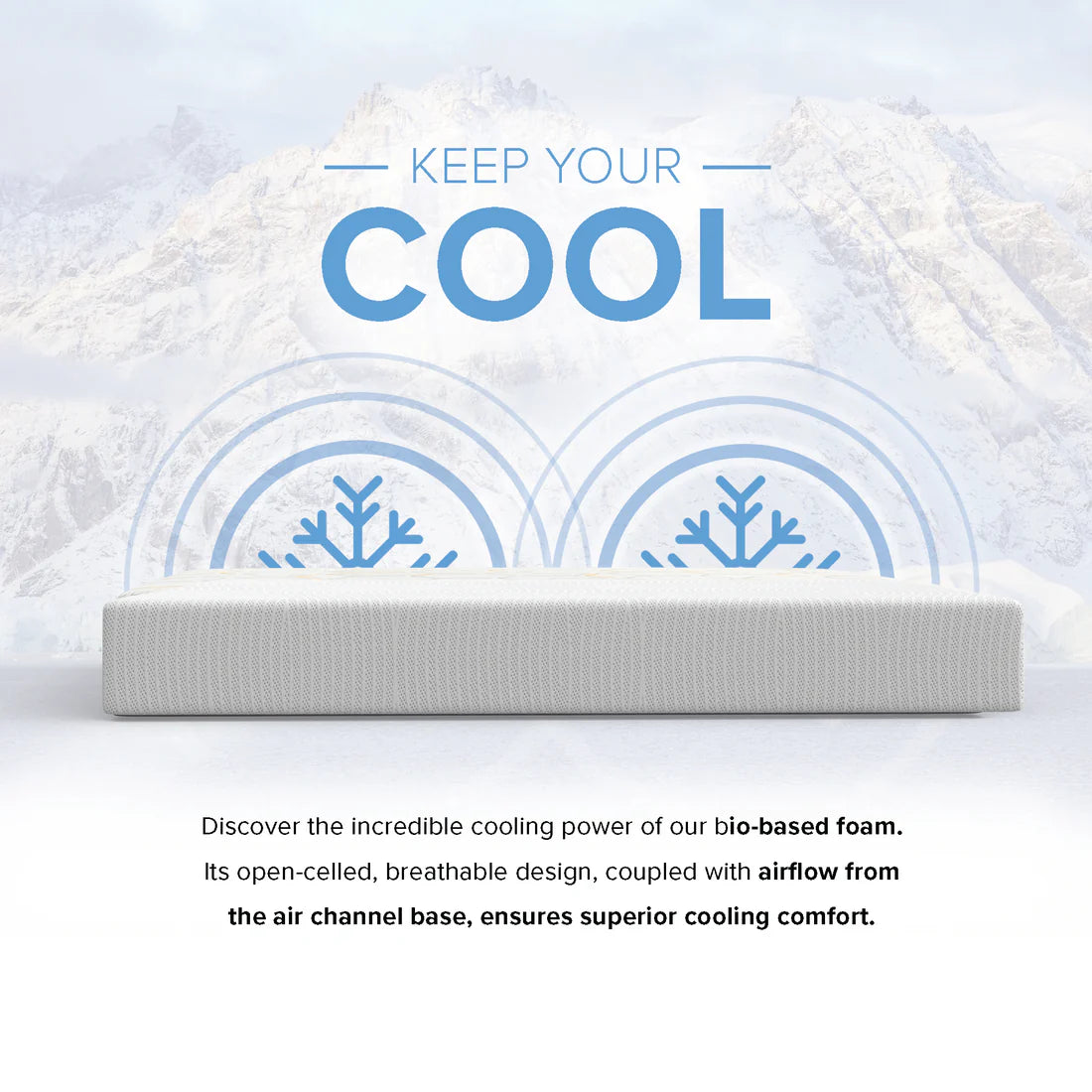 10” EcoCore Origin - Medium Firm - BlissfulNights.com